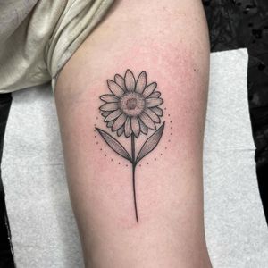 Adorn your upper arm with a stunning dotwork sunflower design by the talented artist Chris Harvey. This fine line illustrative tattoo features intricate floral details.