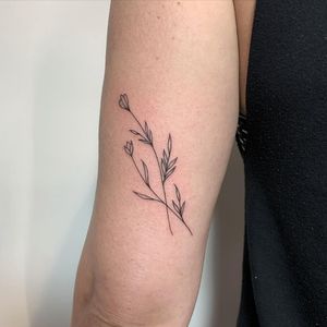 Elegant illustrative sprig design by Chris Harvey, perfectly placed on the upper arm. A delicate and timeless piece.
