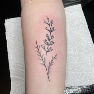Elegant forearm tattoo by Chris Harvey featuring a beautiful dotwork floral sprig design with fine line details.