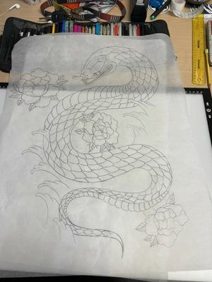 Tohid snake drawing