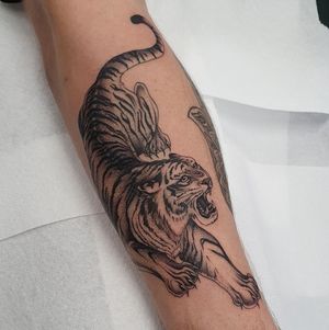Blackwork style tattoo of a fierce tiger by artist Dani Mawby, perfect for a bold and striking forearm piece.