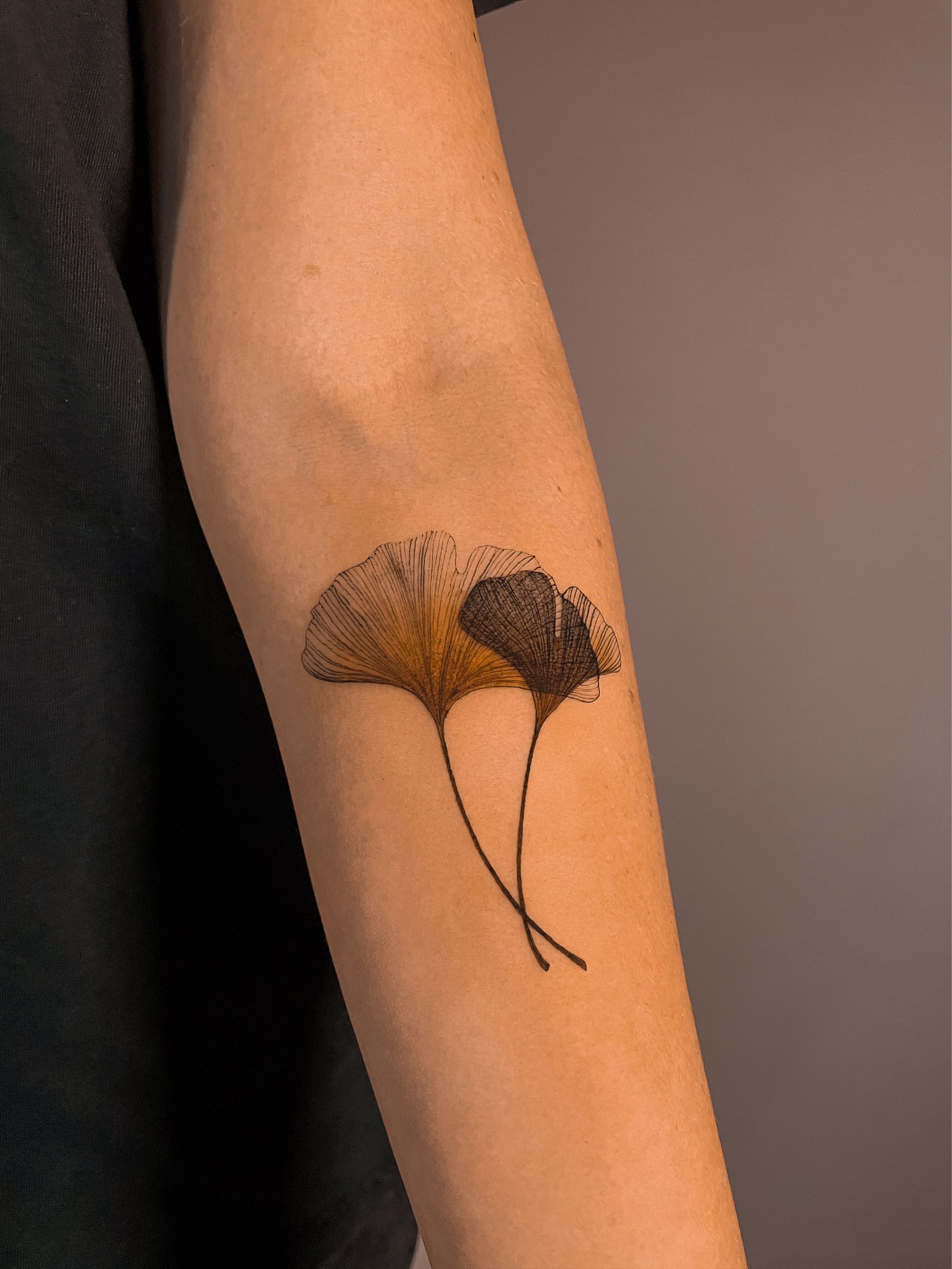 Small Ginkgo Leaf Temporary Tattoo - Set of 3 – Tatteco