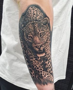 Get wild with this sleek and stylish black and gray leopard tattoo on your forearm in London, GB. Embrace your inner feline with this striking design.