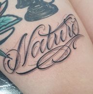 Nature Script