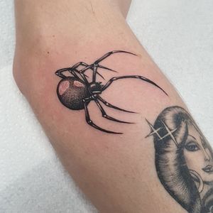 A stunning blackwork spider tattoo on the arm, designed by the talented artist Dani Mawby.