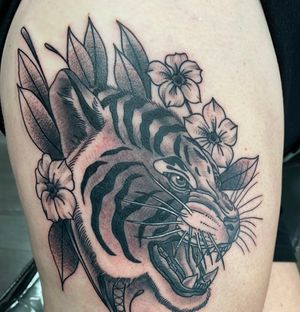 Tiger head and poppy flowers 