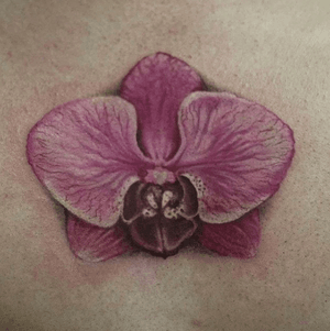 Orchid by Kharis