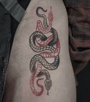 Blackwork /red snakes by Luca