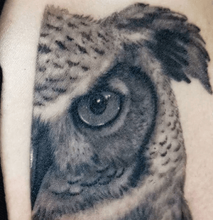 Owl by Kharis