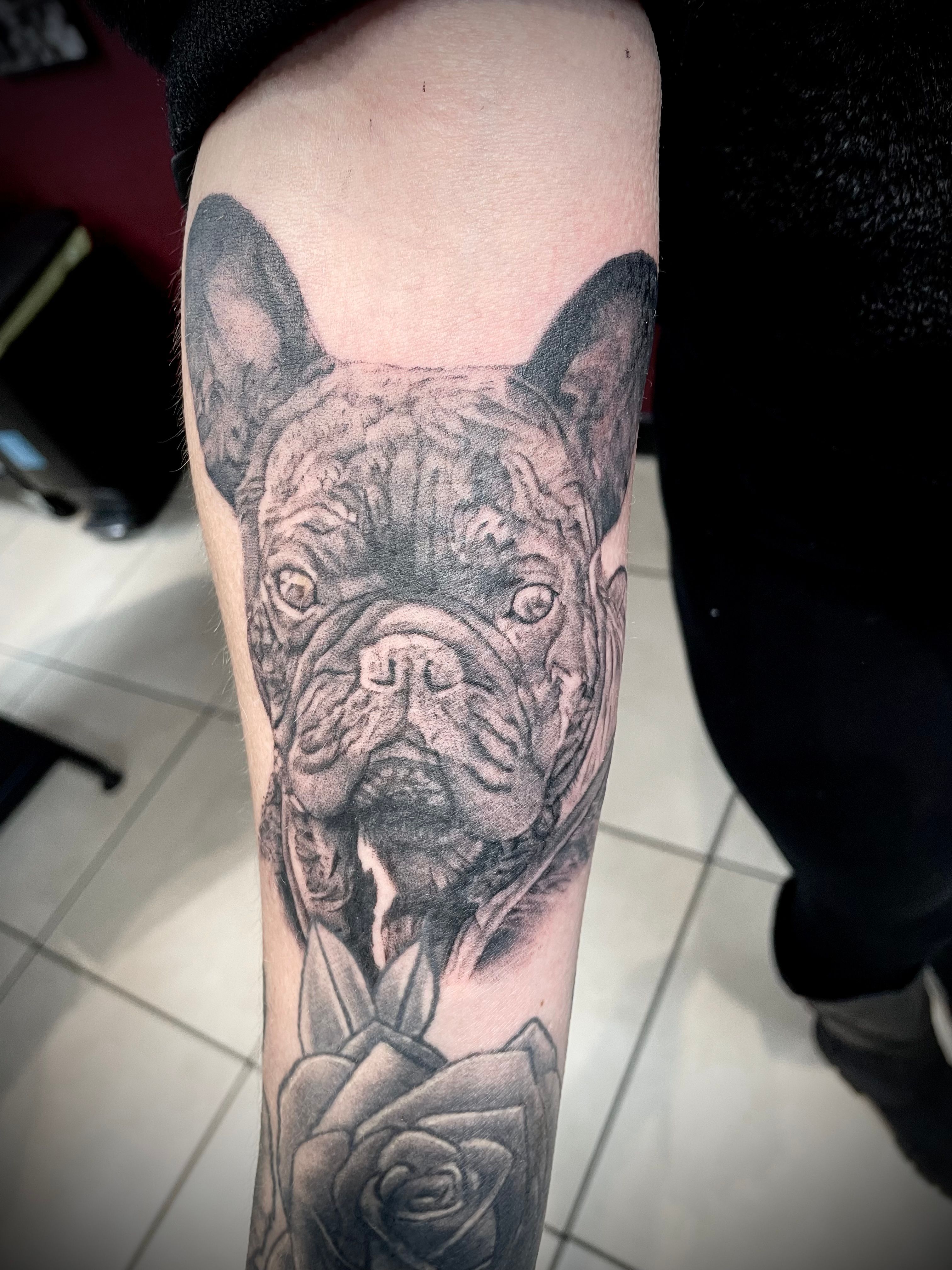 French Bulldog Single Continuous Line Temporary Tattoo   Etsy Hong Kong