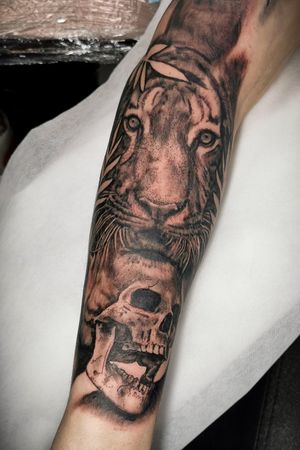 One session tiger and skull tattoo 
