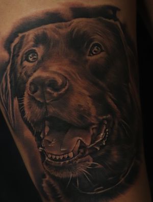 Dog portrait #romeroink #bloodnink #arizona #phoenix #tolleson 