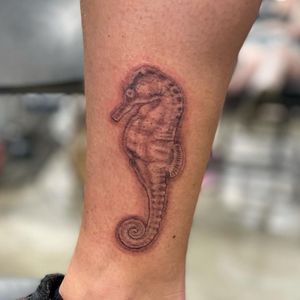 Get a beautifully detailed seahorse tattoo on your lower leg done in fine line illustrative style by the talented artist Michaelle Fiore.