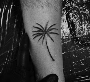 #palmtree #palmtreetattoo #linework #lineworktattoo #minimaltattoo #blackboldsociety #blxckink #oldlines #tattoosandflash #darkartists #topclasstattooing #inked #inkedguy #inkedup #minimal #stattoo