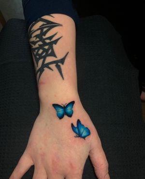 Rework of some previous butterflies she already had
