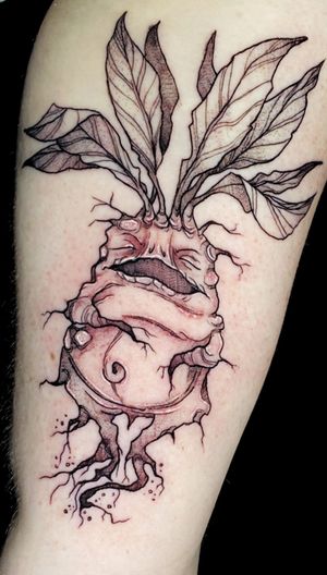 Mandrake tattoo! 