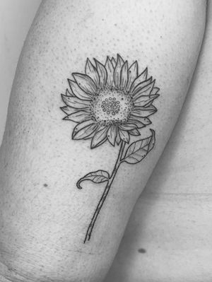 My beautiful sunflower... 🌻💛 #Sunflower #BlackAndWhite #Dotted 