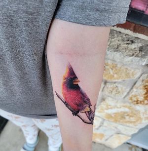 Cardinal done by Tony Maxwell as a memorial piece at Symmetry 6. Now works at Dark Age Tattoo! 