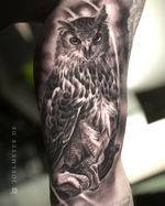 Owl Realistic Tattoo Black and Grey Joel Meyer