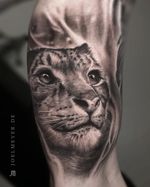 Snow Leopard Realistic Tattoo Black and Grey Joel Meyer