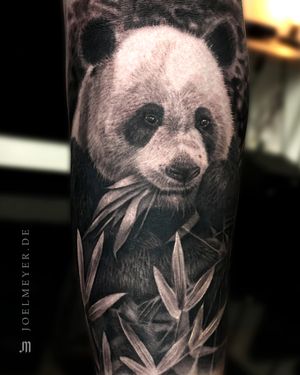 Panda Bear Realistic Tattoo Black and Grey Joel Meyer