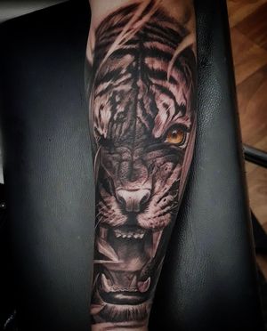 Get a fierce and realistic black and gray tiger tattoo on your forearm in London, GB. Stand out with this stunning design!