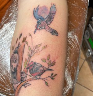 red jay bird tattoo
