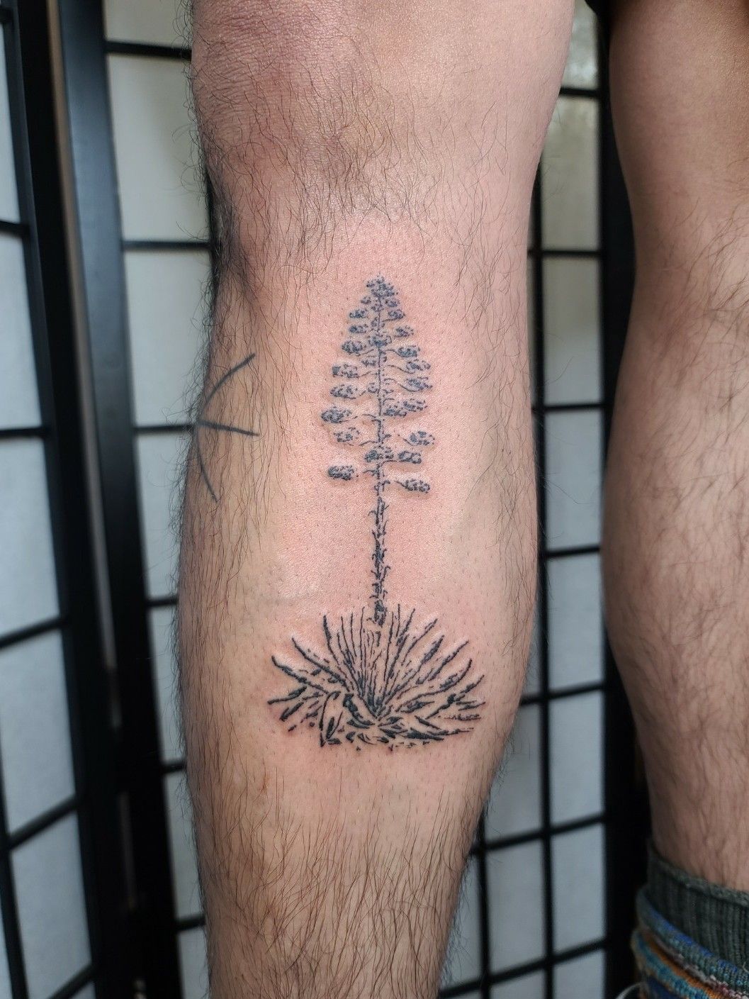71 Tattoo - Yucca flowers by @devostrange #tattoo #tattoos... | Facebook