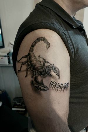#Scorpions #scorpion #scorpio #realism #3D #blackngrey #lettering 