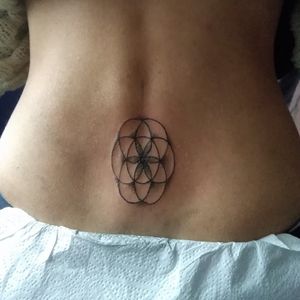 Spine flower - 1207 rl#geometry #tattoo #tattoo.drawing.art #dynamicink #protonequalizer #carnide 