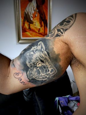 Bear second session 