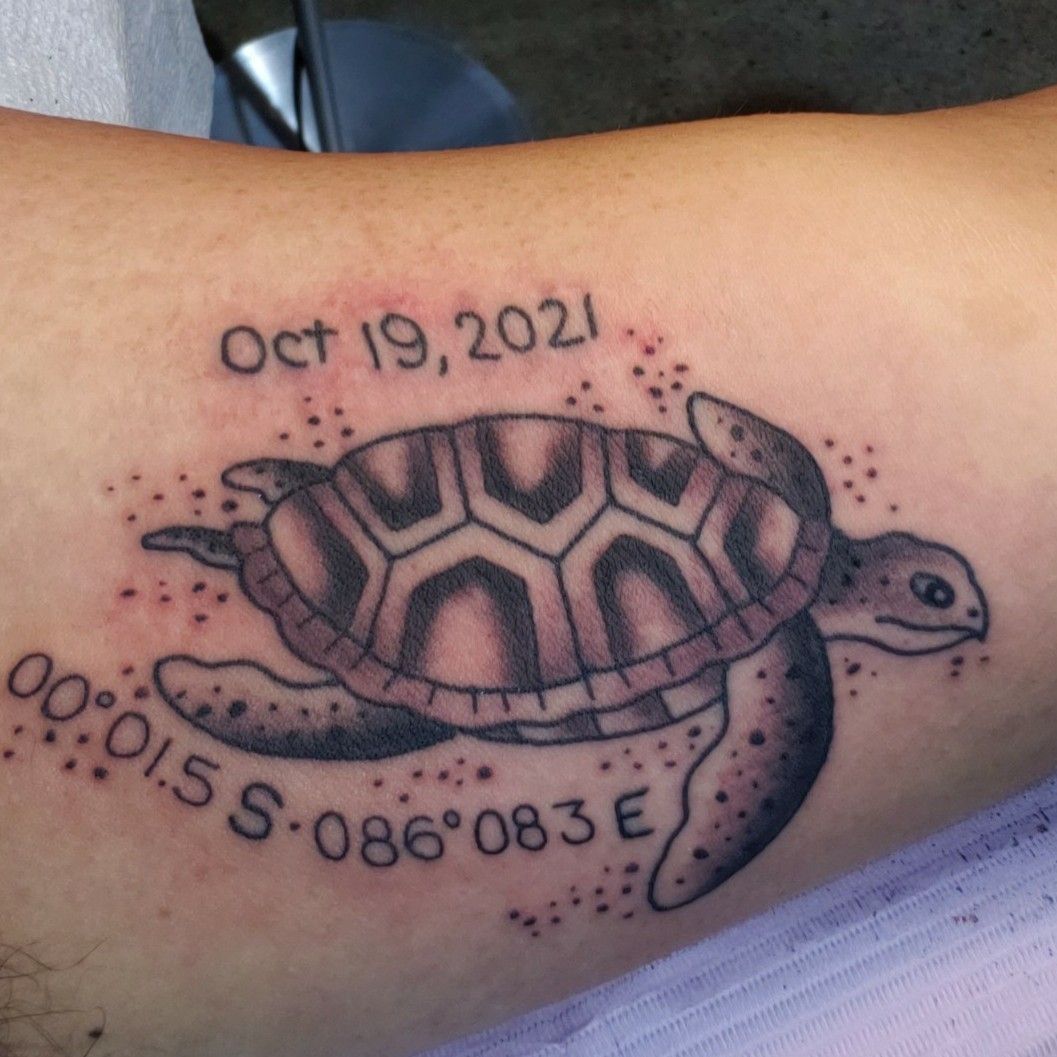 Turtle shellback  Turtle tattoo designs Nautical tattoo sleeve Sailor  tattoo