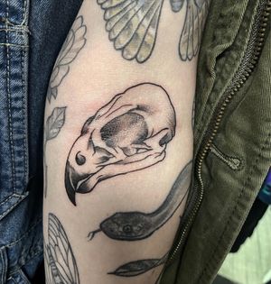 Falcon skull for Jocelynn’s ditch 💕