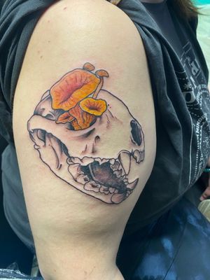 Wolverine skull with some chanterelles for Emma 