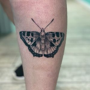 1 month healed tortoise shelled butterfly for a friend 