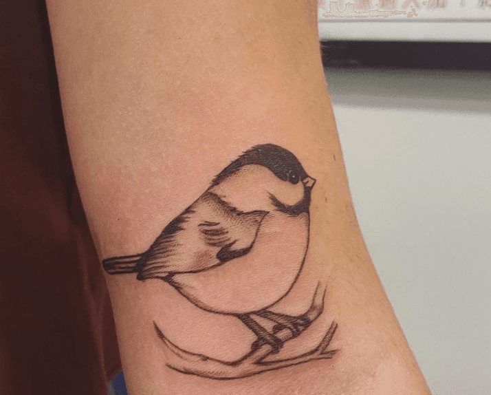 Ship from NY  Temporary Tattoo  Watercolor Chickadee sold by YesToMe on  Storenvy