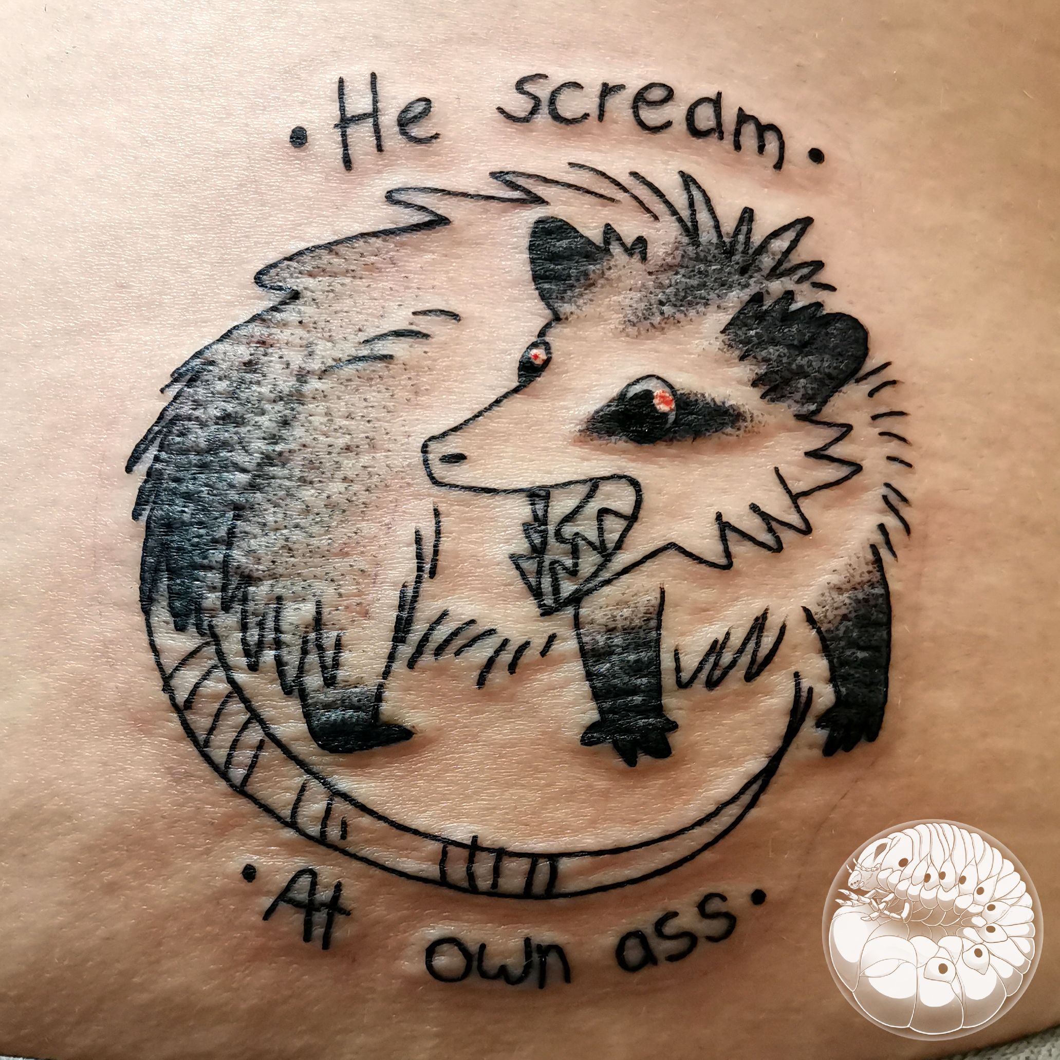 screaming possum tattooTikTok Search