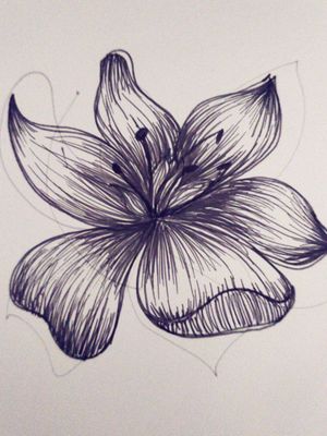 Boceto de flor con rotulador de línea fina.