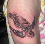 Sea Turtle done at Enigma Tattoo Beverly Hills