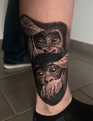 Family Gorillas Calf Tattoo in black and grey realism