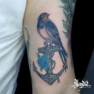 Anchor and bird