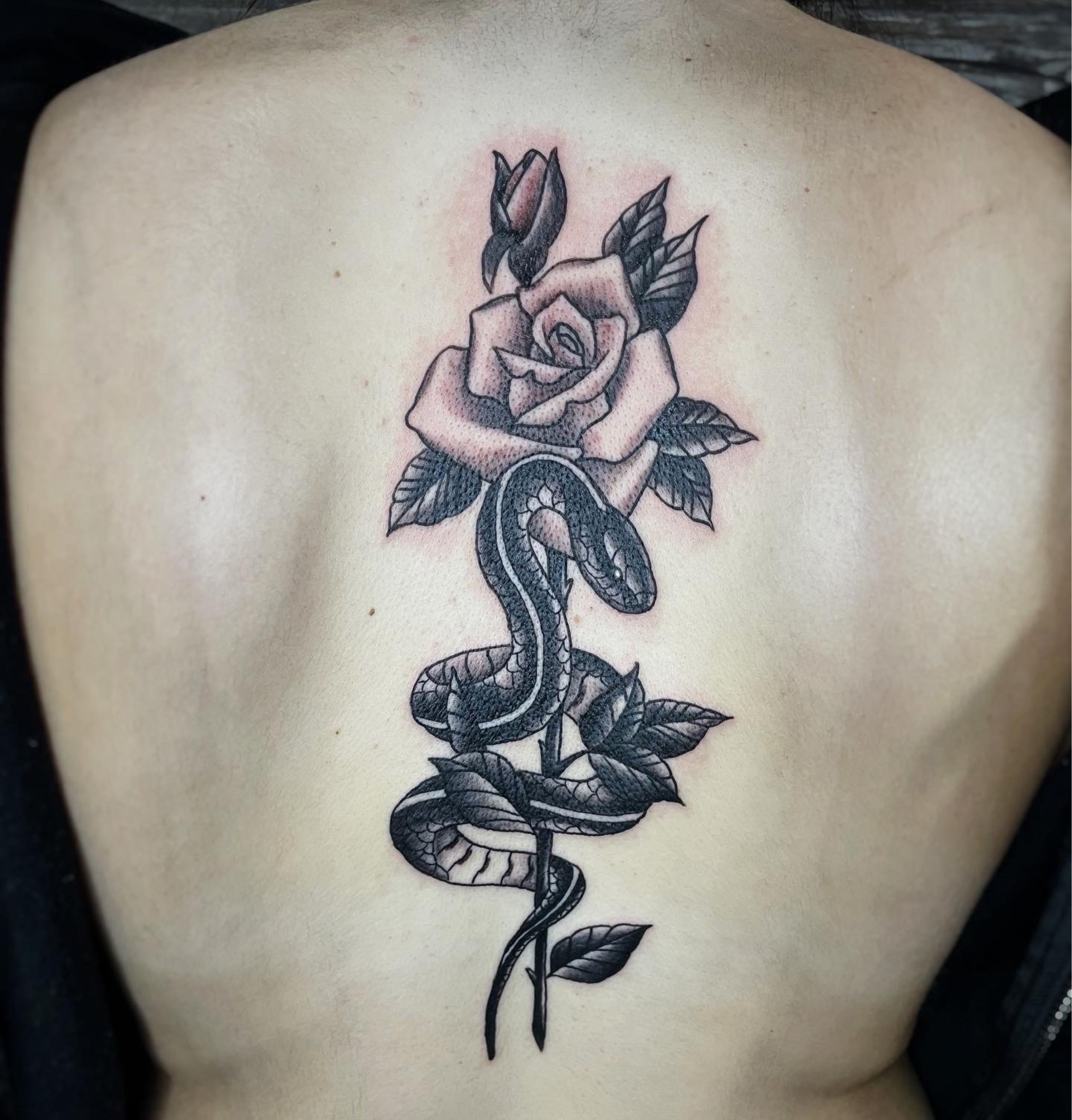 Red Snake  Red ink tattoos Dragon tattoo for women Rose tattoo on back