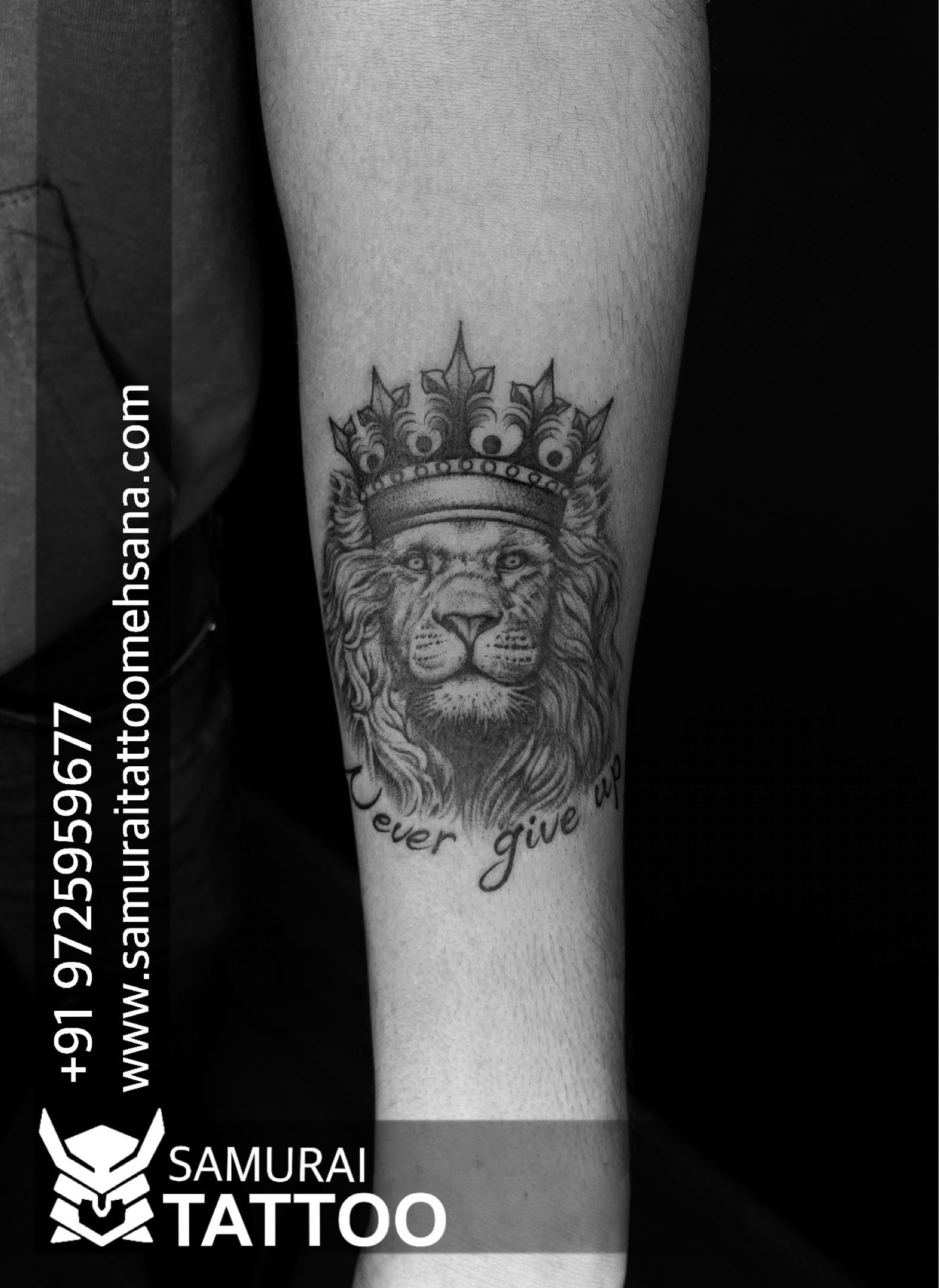 lion and dreamcatcher with pearl and feathers tattoo design references –  TattooDesignStock