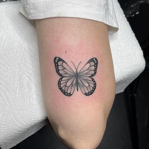 Elegant butterfly design on upper arm combining dotwork, fine line, and illustrative styles by the talented artist Chris Harvey.