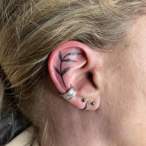 Get a delicate sprig design tattooed on your ear in London. Fine line style for a subtle and elegant look.