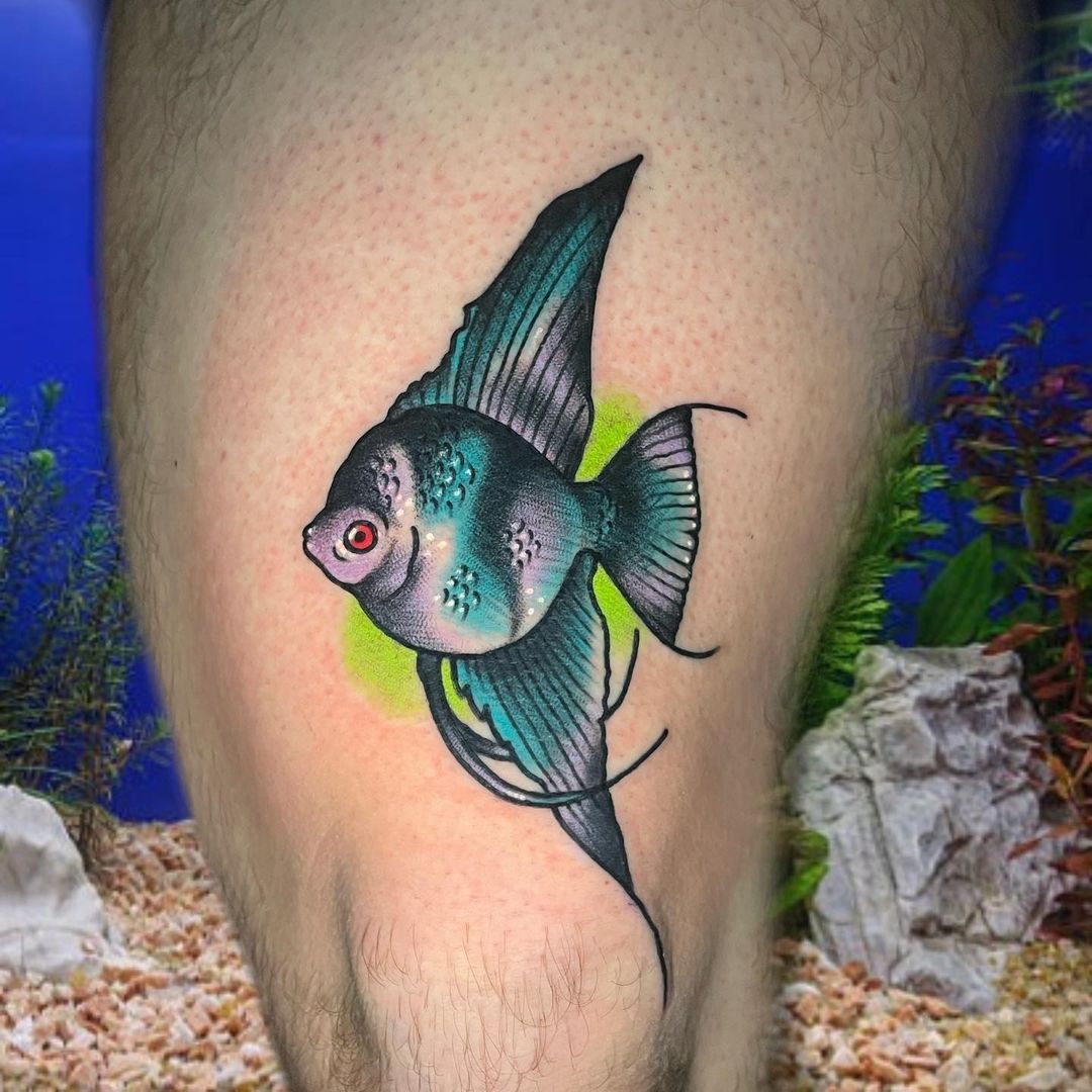 Dyed, Tattooed, Painted &Altered Fish | Jellybean Blood Parrot Cichlid -  YouTube