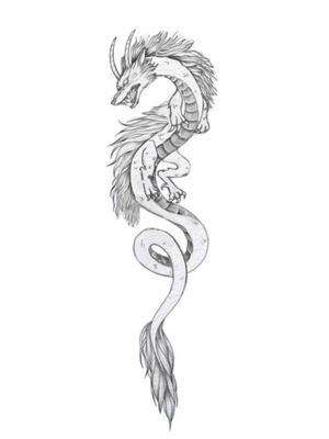 Haku type Dragon