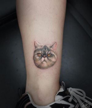 Cat Tattoo / Kedi Dövmesi | Big Fella Art