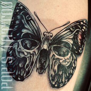 Skullerfly - black and gray butterfly