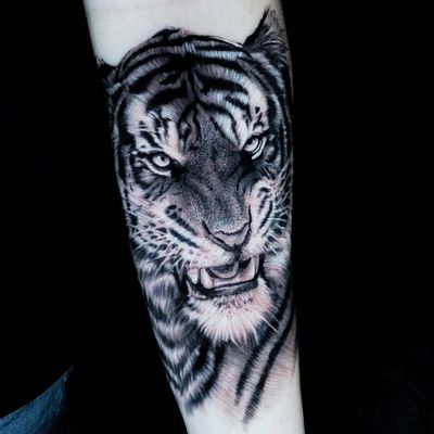 Get a fierce and realistic tiger tattoo in blackwork style on your forearm in Miami for a bold and striking look.